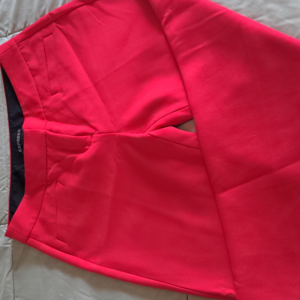 Express dress pant